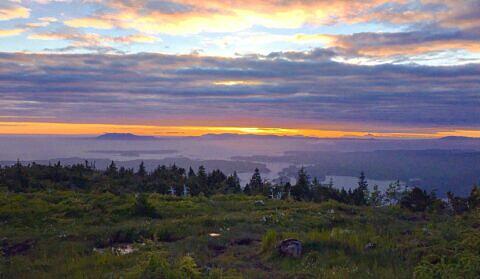 Mount Hays Sunset